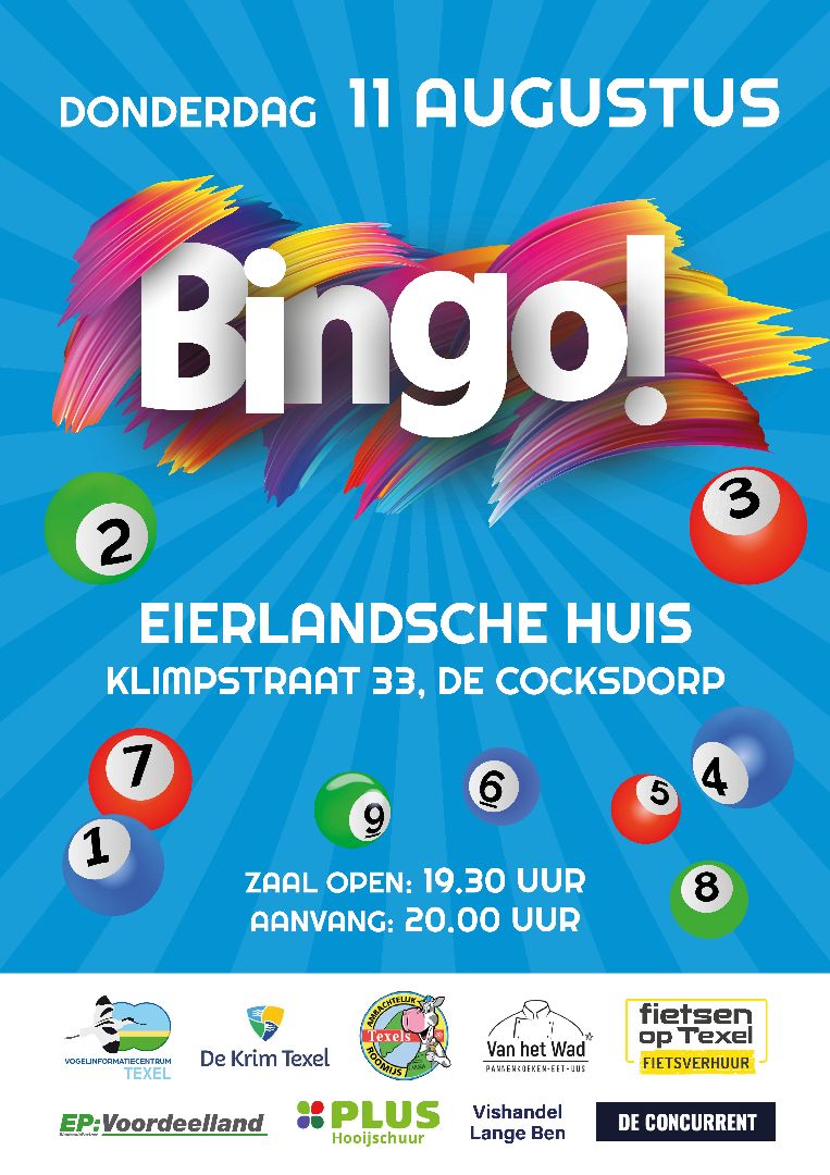 Bingo poster 2.jpg